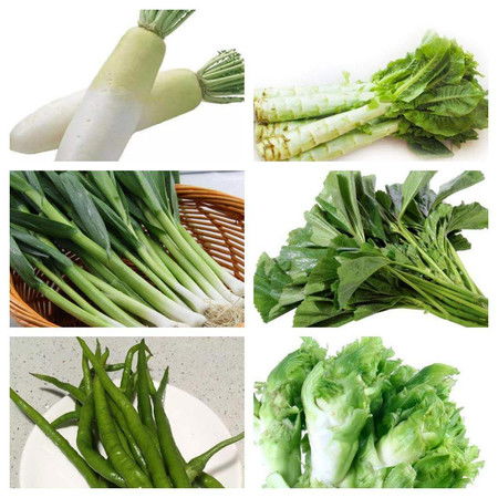 蔬菜套餐A 合计约为6.5kg 售价39元 配送仅限泸县城区范围 图片大全 邮乐官方网站